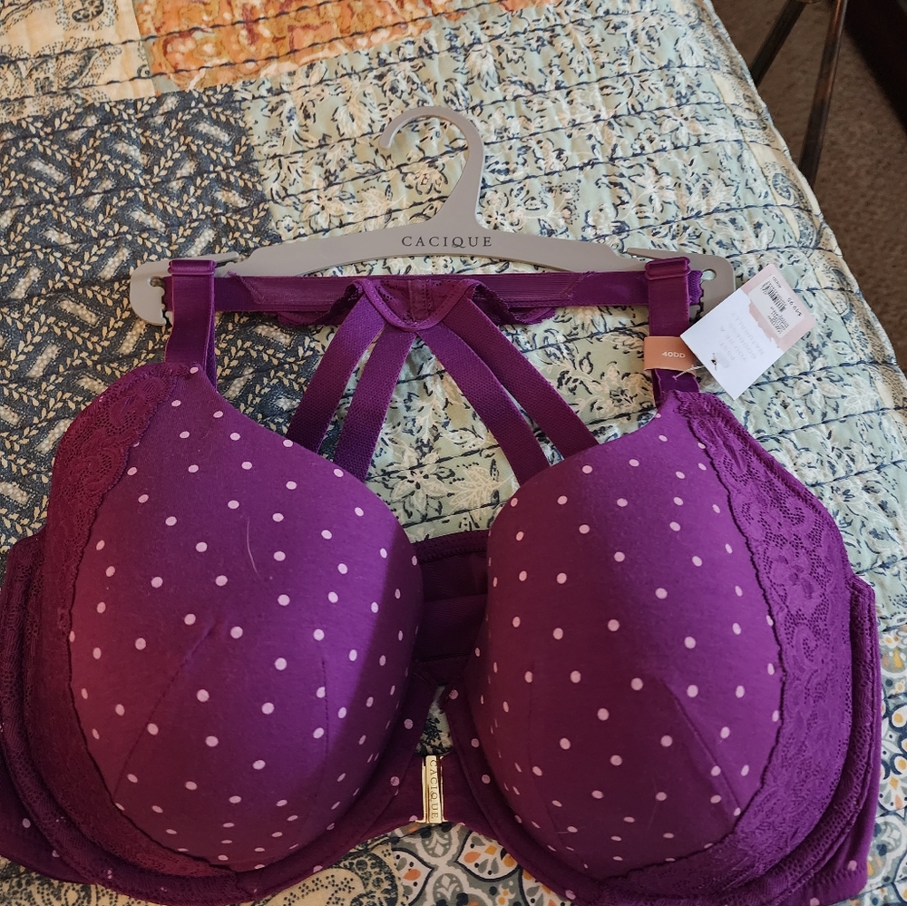 Lane Bryant